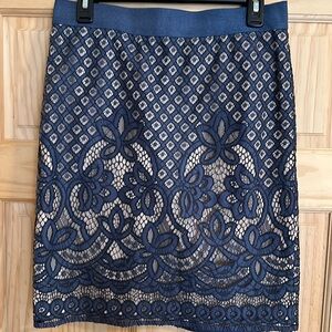 Ann Taylor embroidered skirt